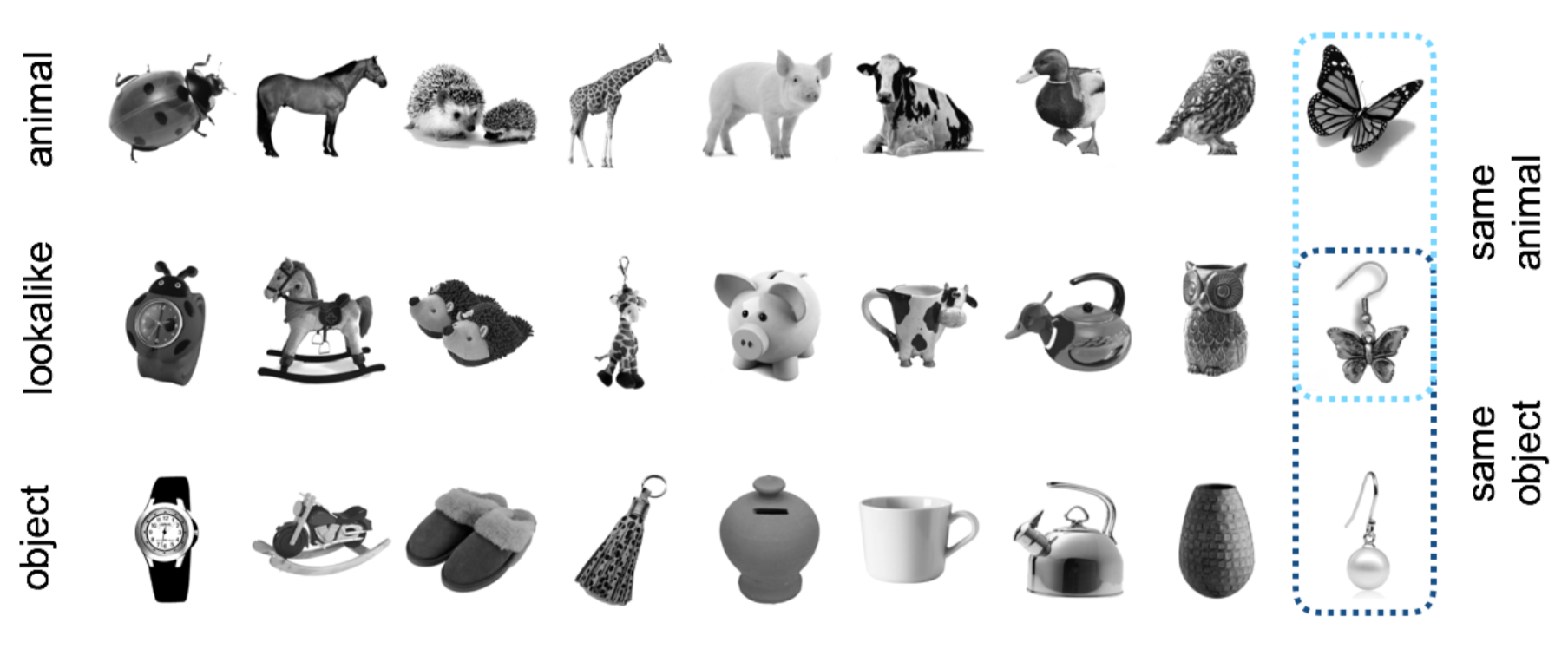 Screen Shot 08-16-18 at 05.52 PM 001