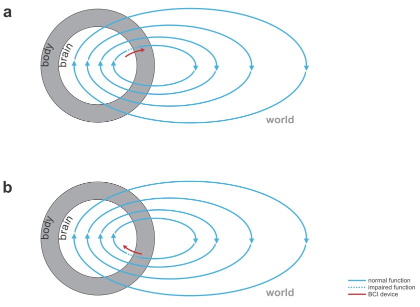 bidirectional motor and sensory bcis