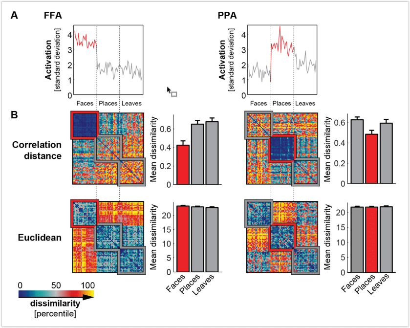 correlation distance is problematic.PNG
