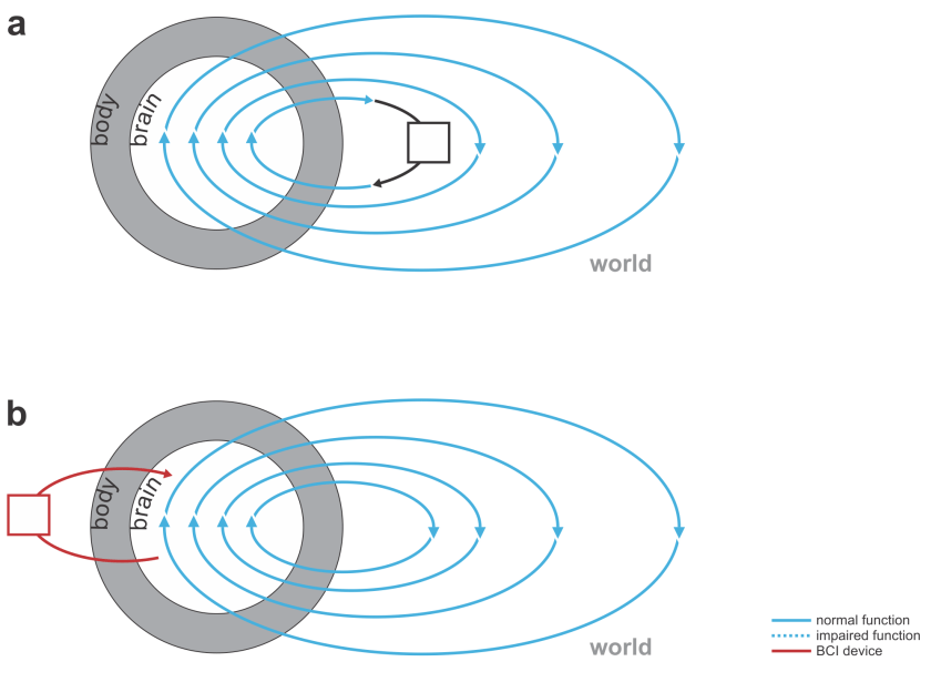 laptop and neural co-processor