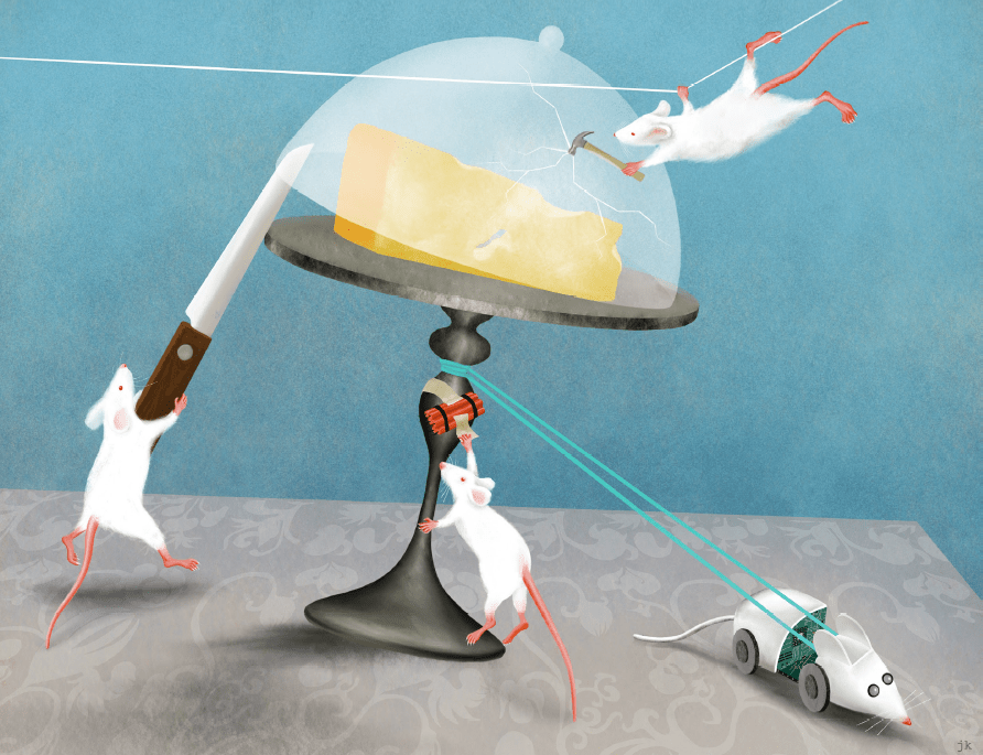 Embracing behavioral complexity to understand how brains implement&nbsp;cognition