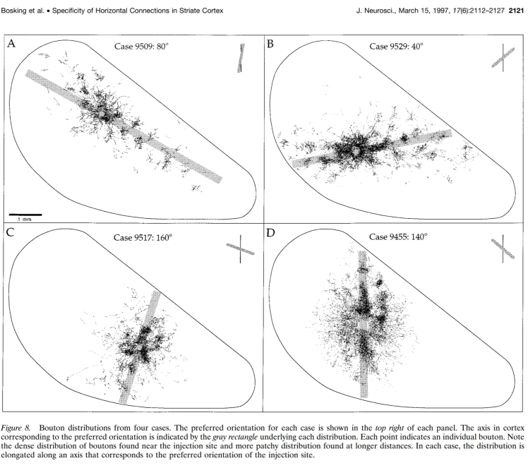 Screen Shot 12-03-19 at 09.54 PM